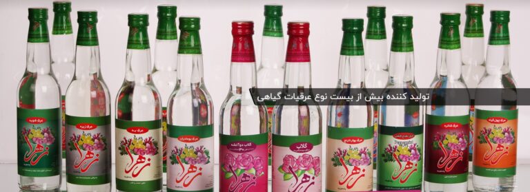 گلاب زهرا 2